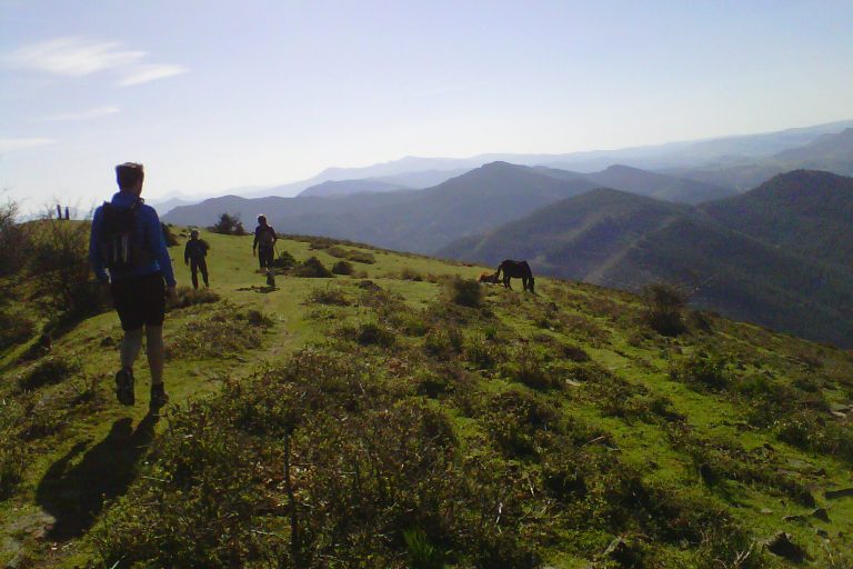IMG00369-20130414-1043