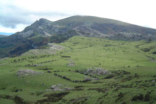 gorbea